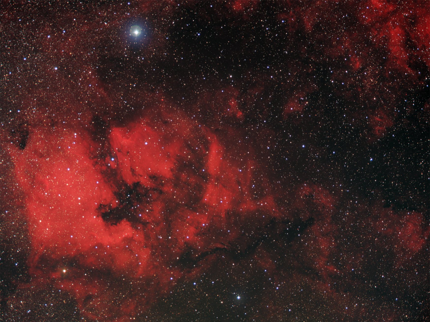 Central Cygnus Region