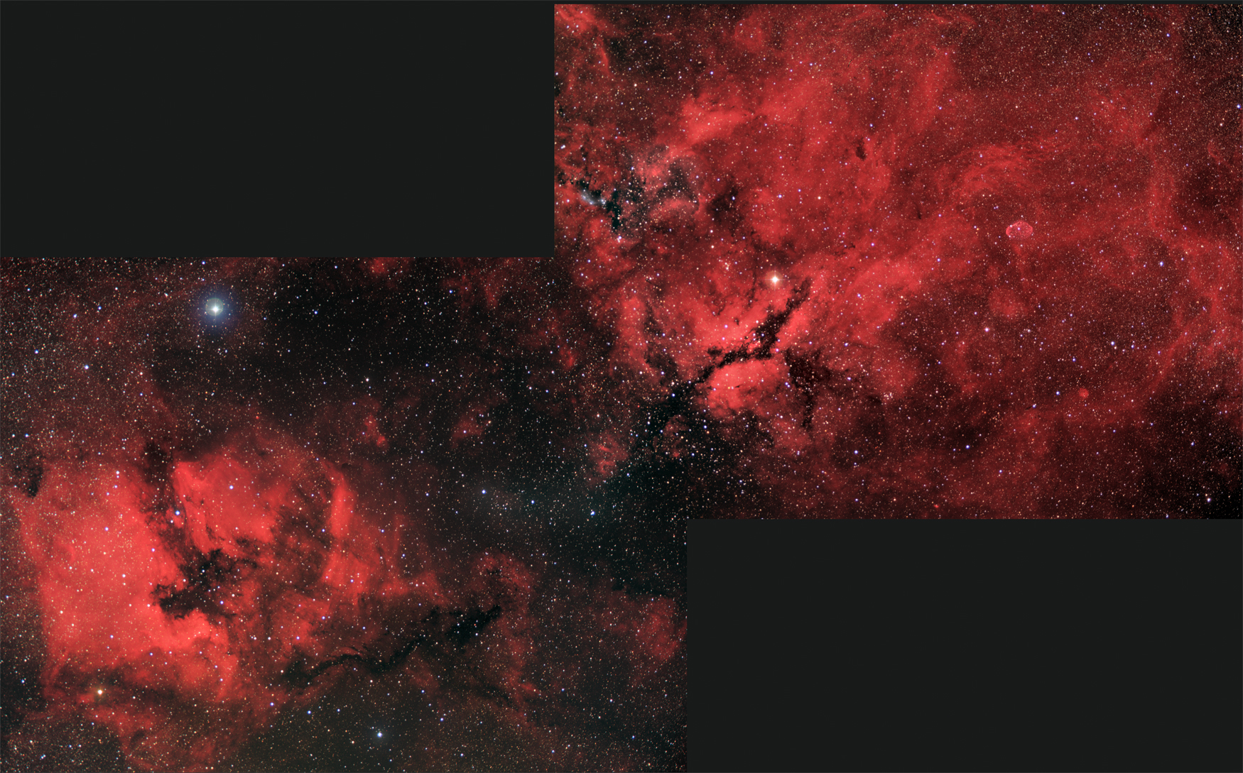 Cygnus Mosaik