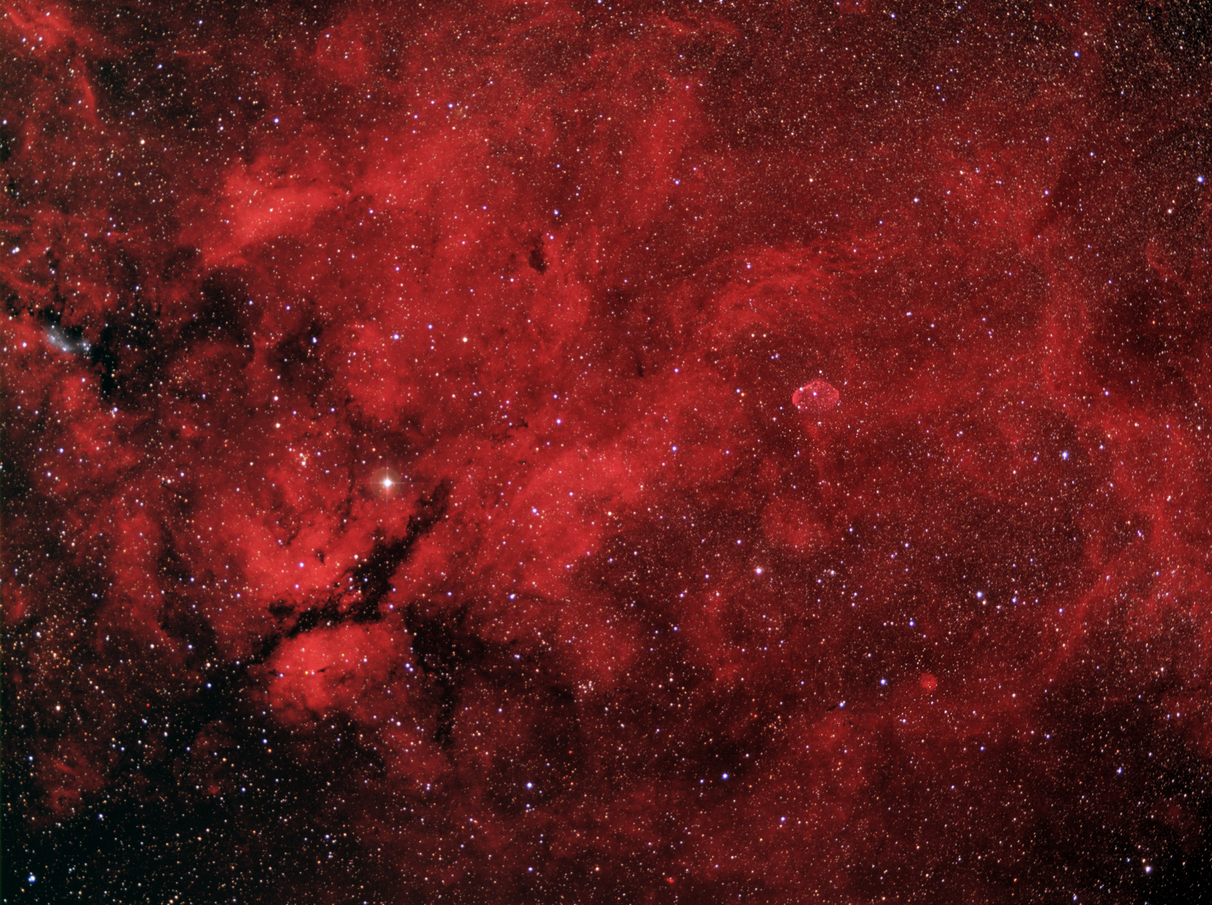 Central Cygnus Region