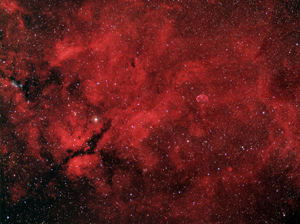 Cygnus Widefield