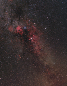 Cygnus Widefield