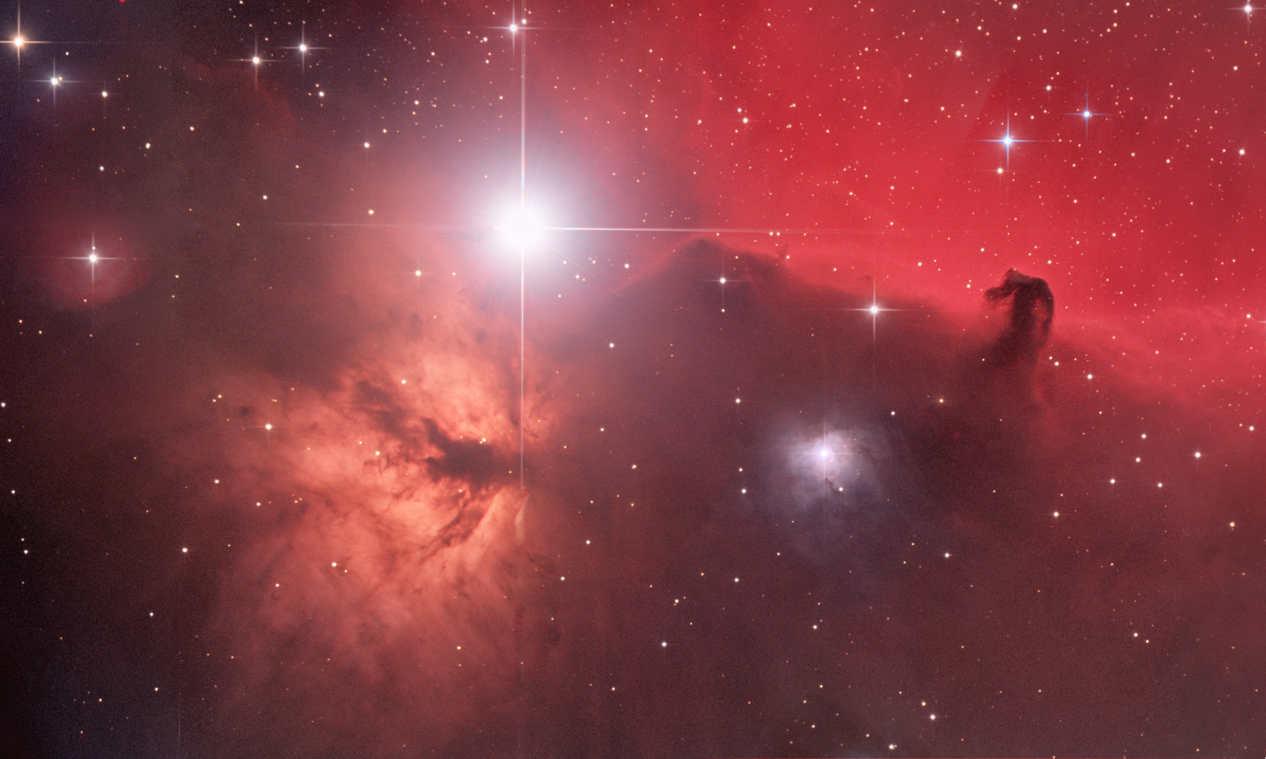 Horsehead Widefield