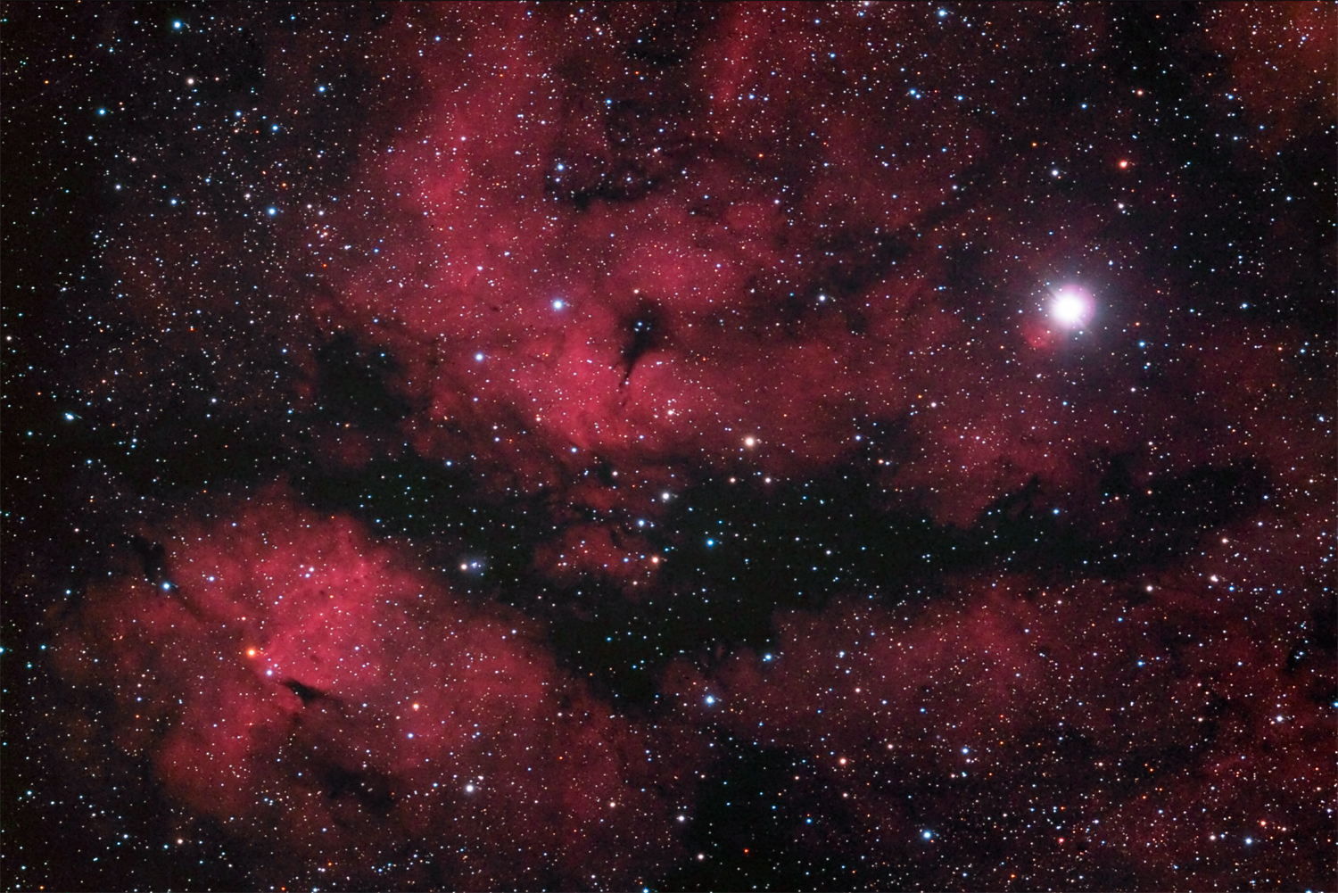 IC1318