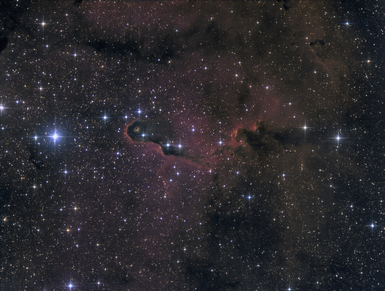 IC1396-Elephants Trunk