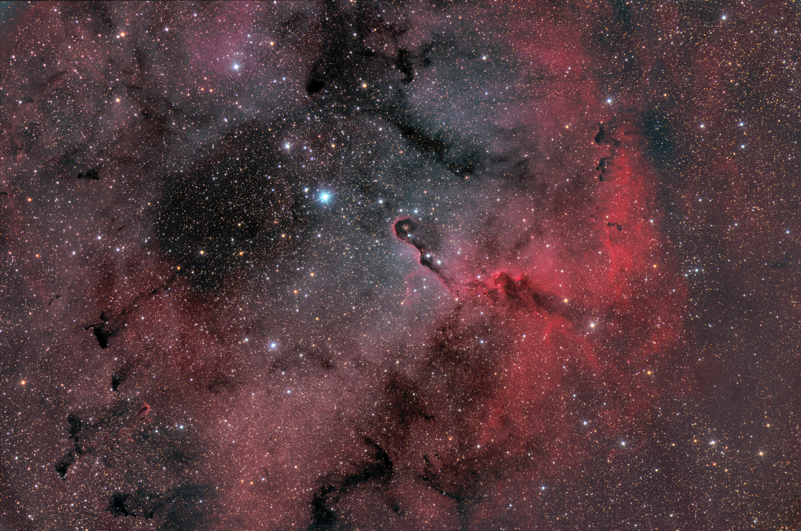 IC1396 und Elephants Trunk