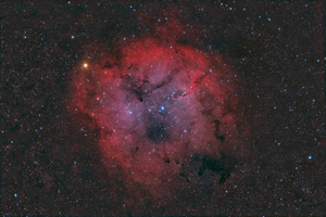 IC1396