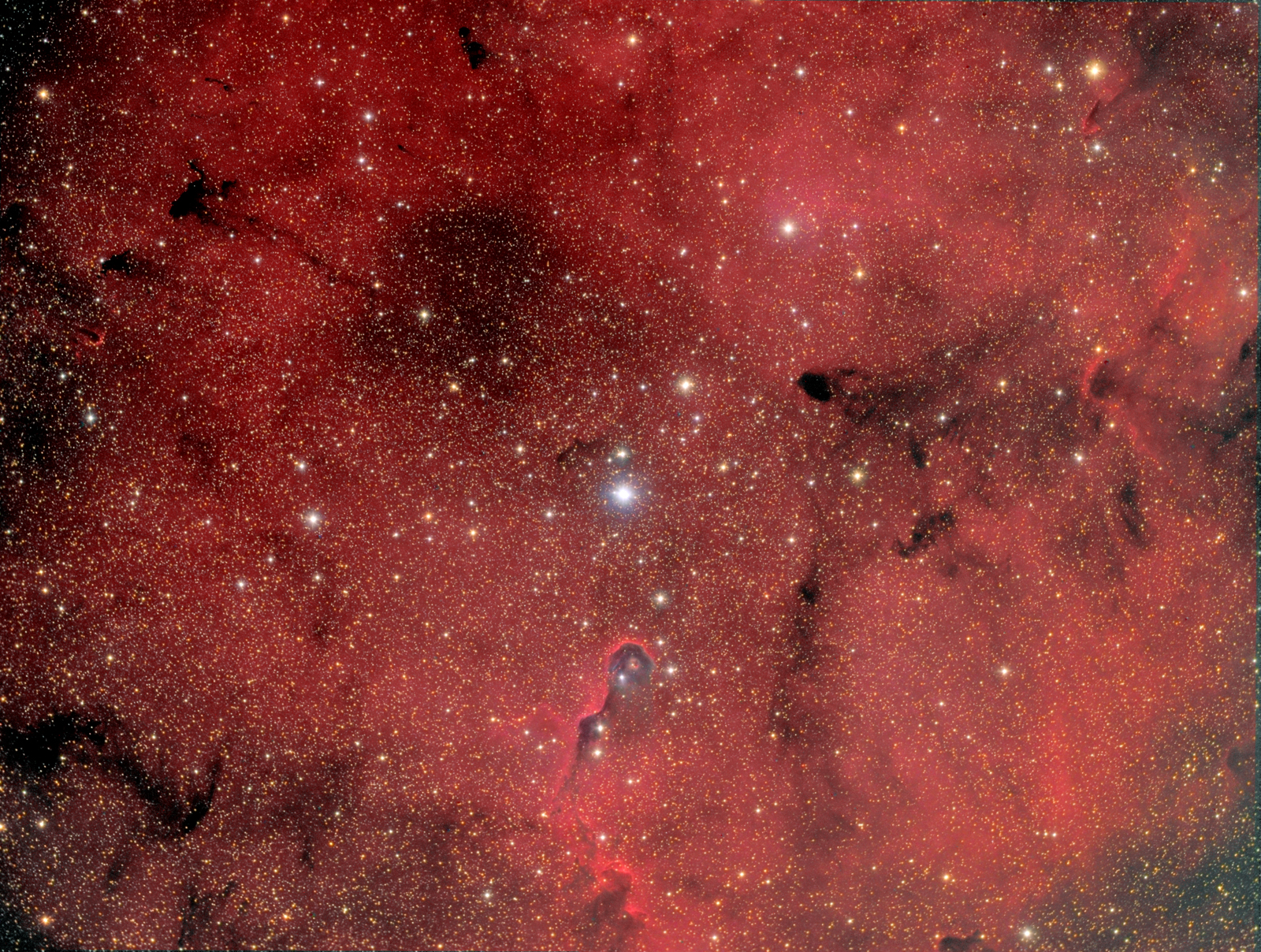 IC1396