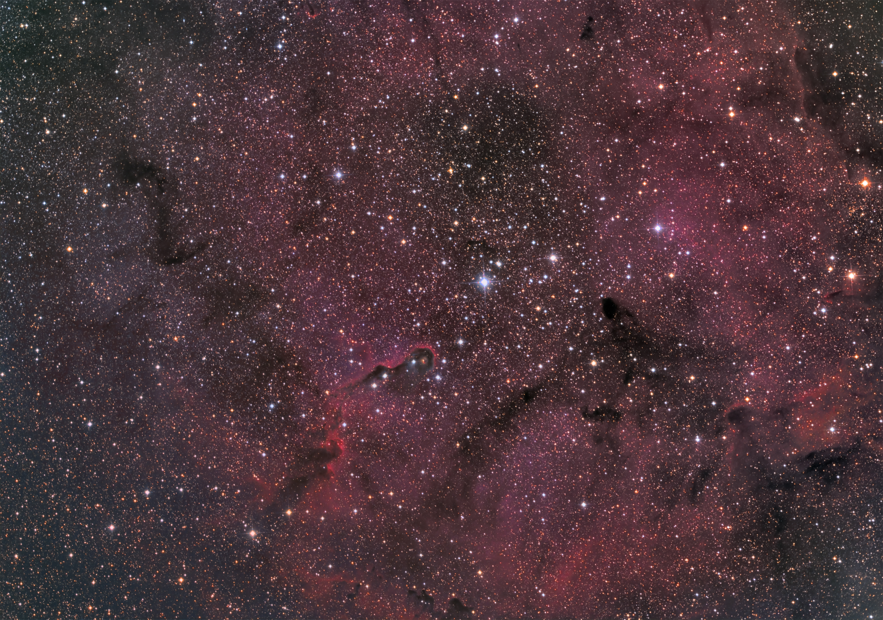 IC1396-Elephants Trunk