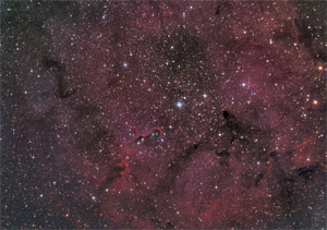 IC1396A-Elephants Trunk