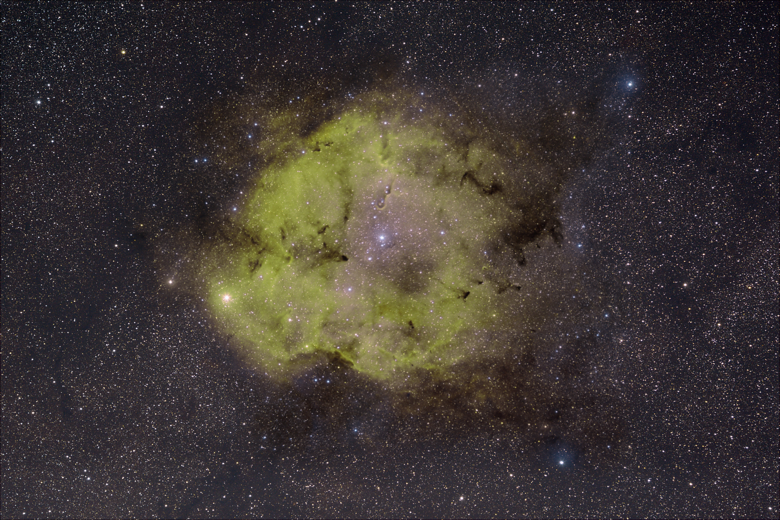 IC1396