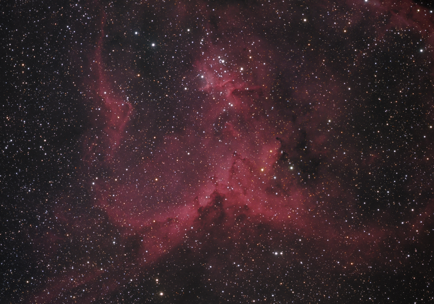 IC1805 Melotte 15