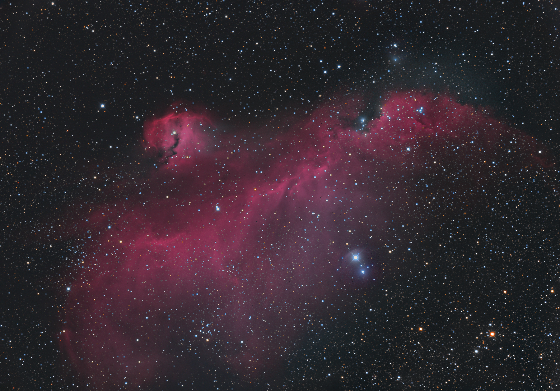 Seagull-Nebula and IC2177