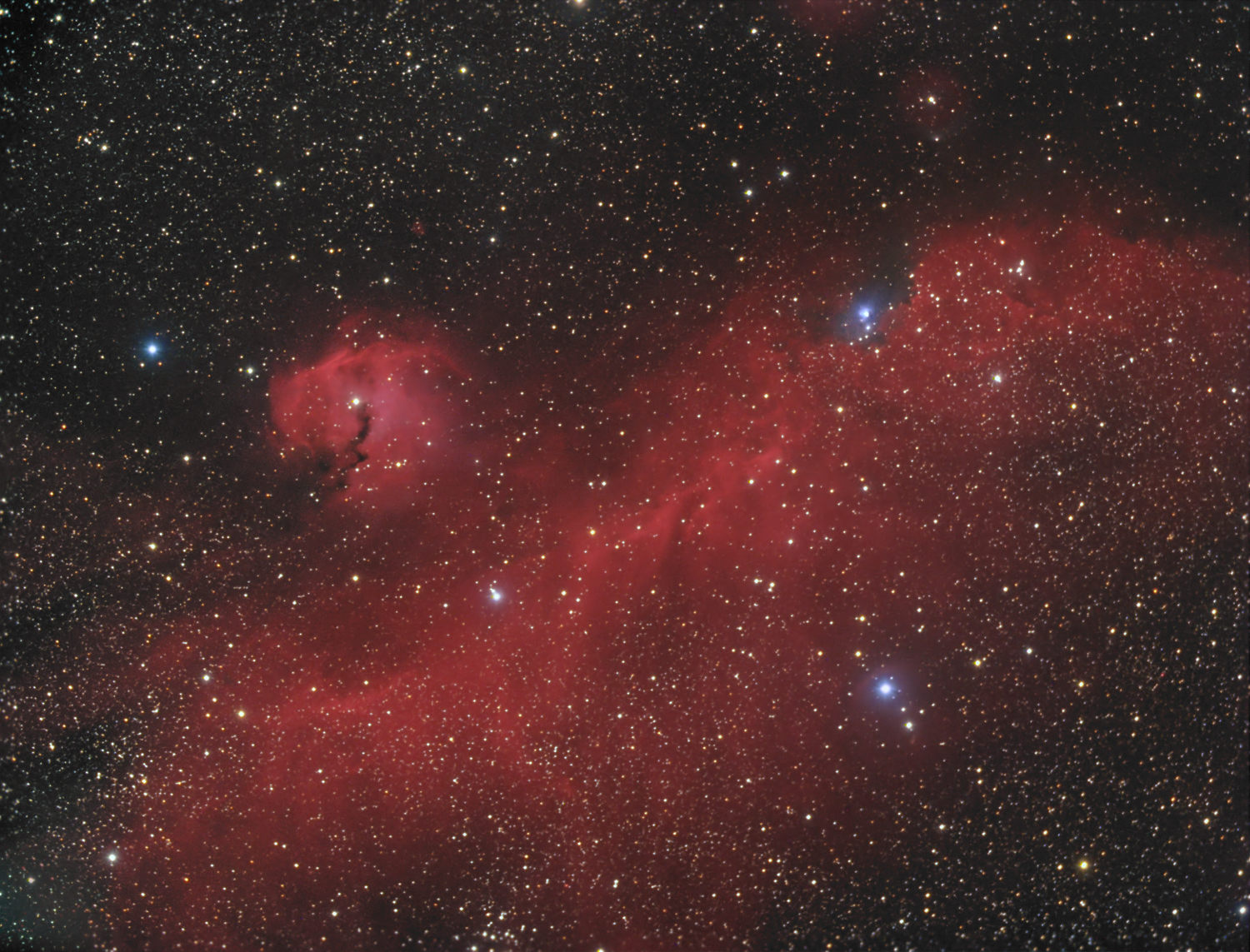 Seagull-Nebula and IC2177