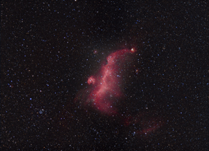 IC2177 Widefileld