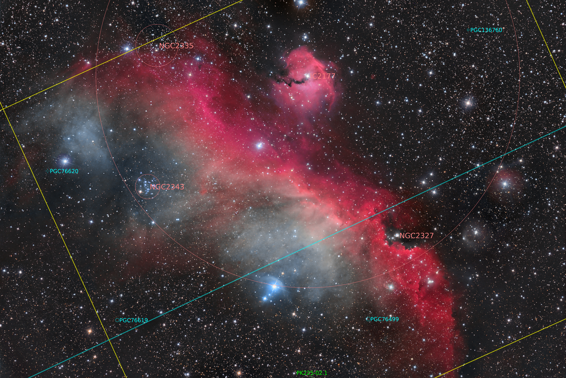 Seagull-Nebula and IC2177