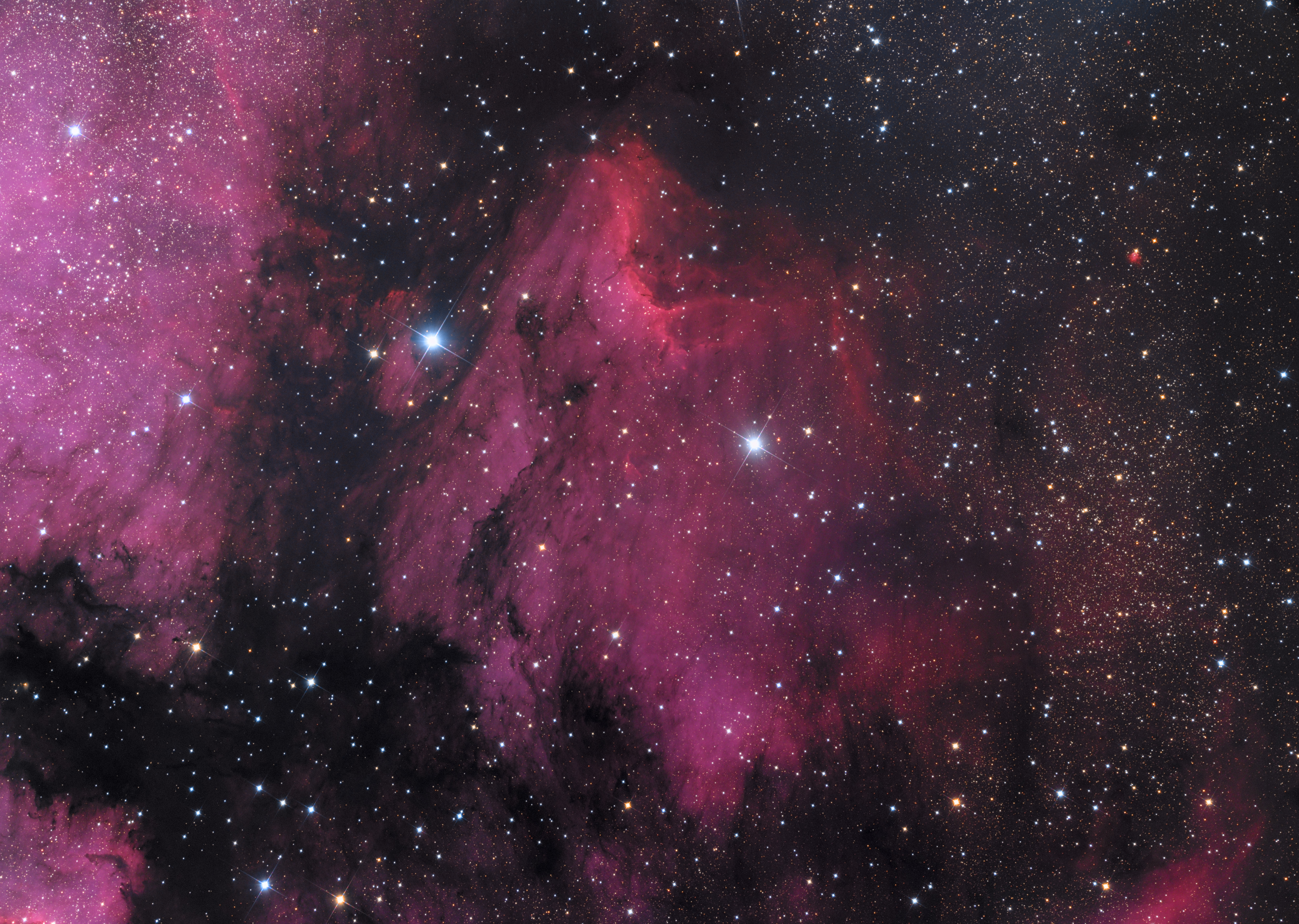 IC5070 in Cygnus