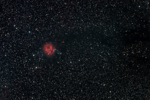 IC5146 Widefield