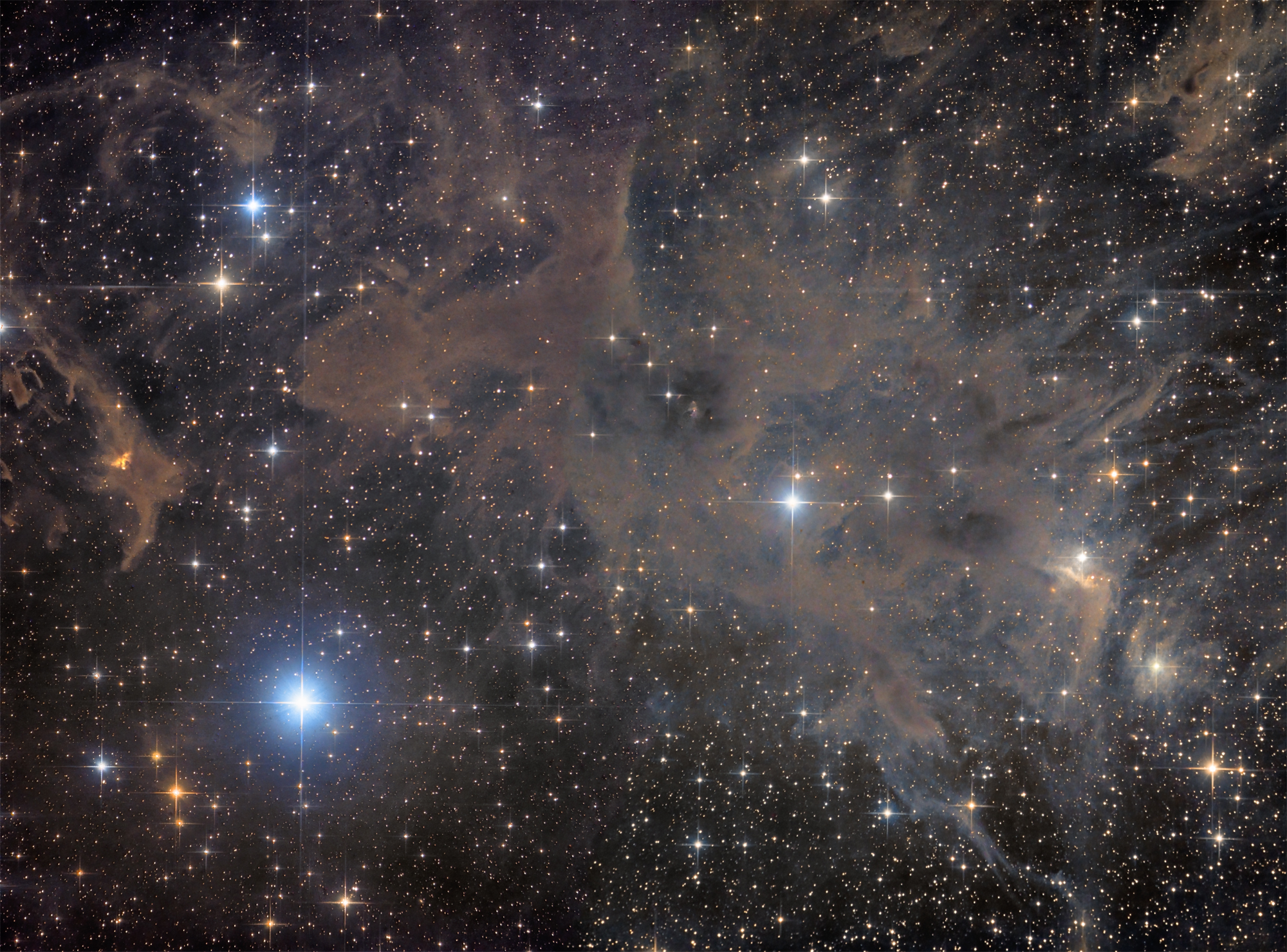 LDN-1228 in Cepheus