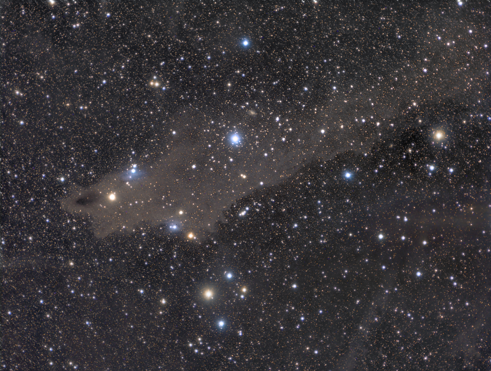 LDN-1235 in Cepheus