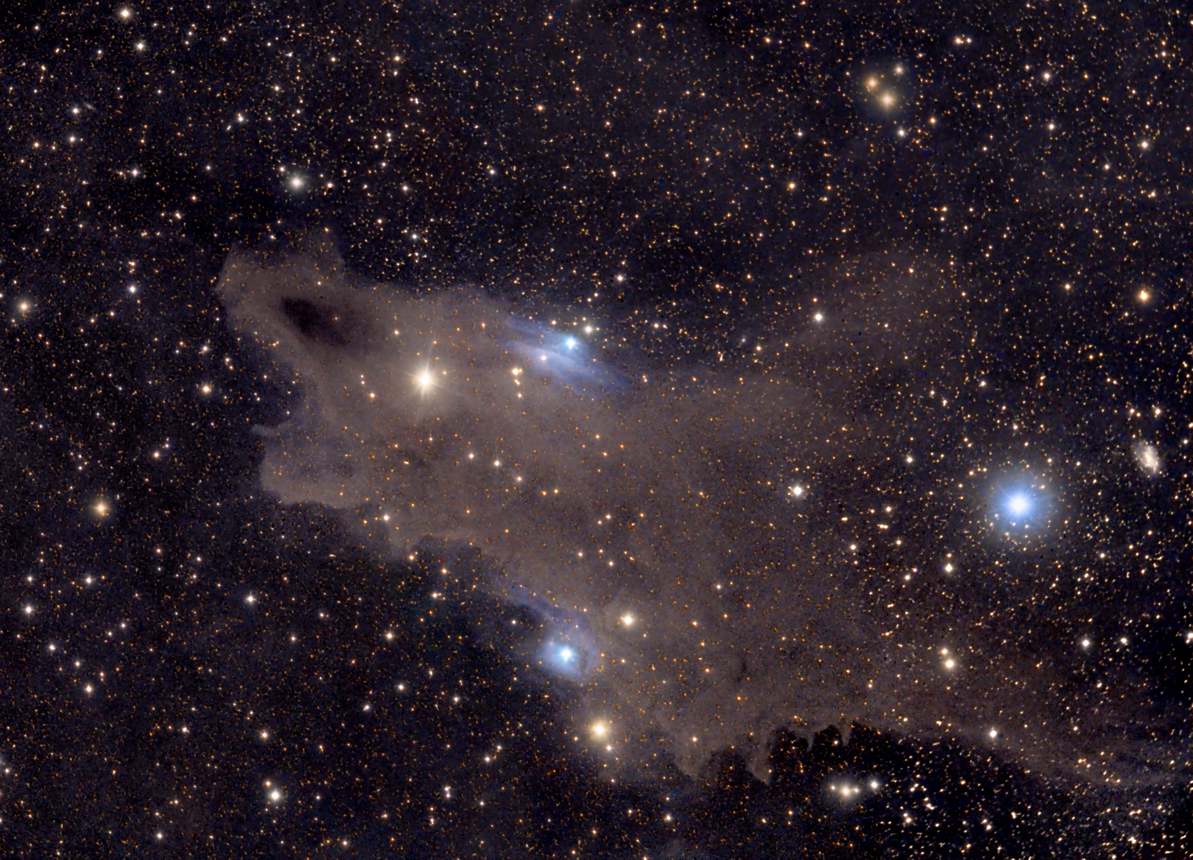 LDN-1235 in Cepheus