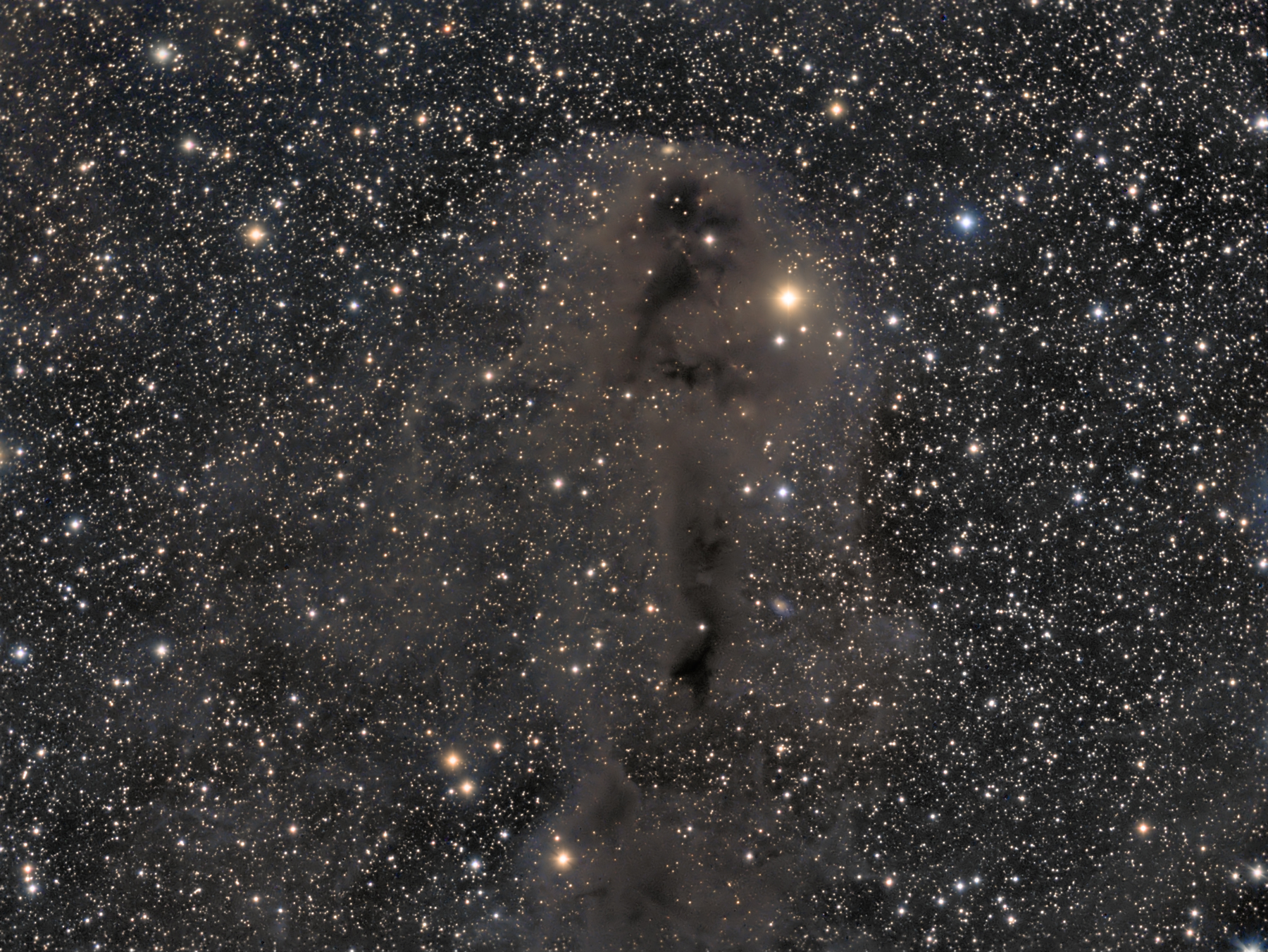 LDN1251 in Constellation Cepheus