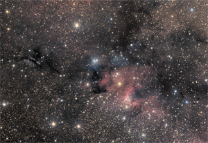 LDN1212 + Sh2-155 Cave Nebula