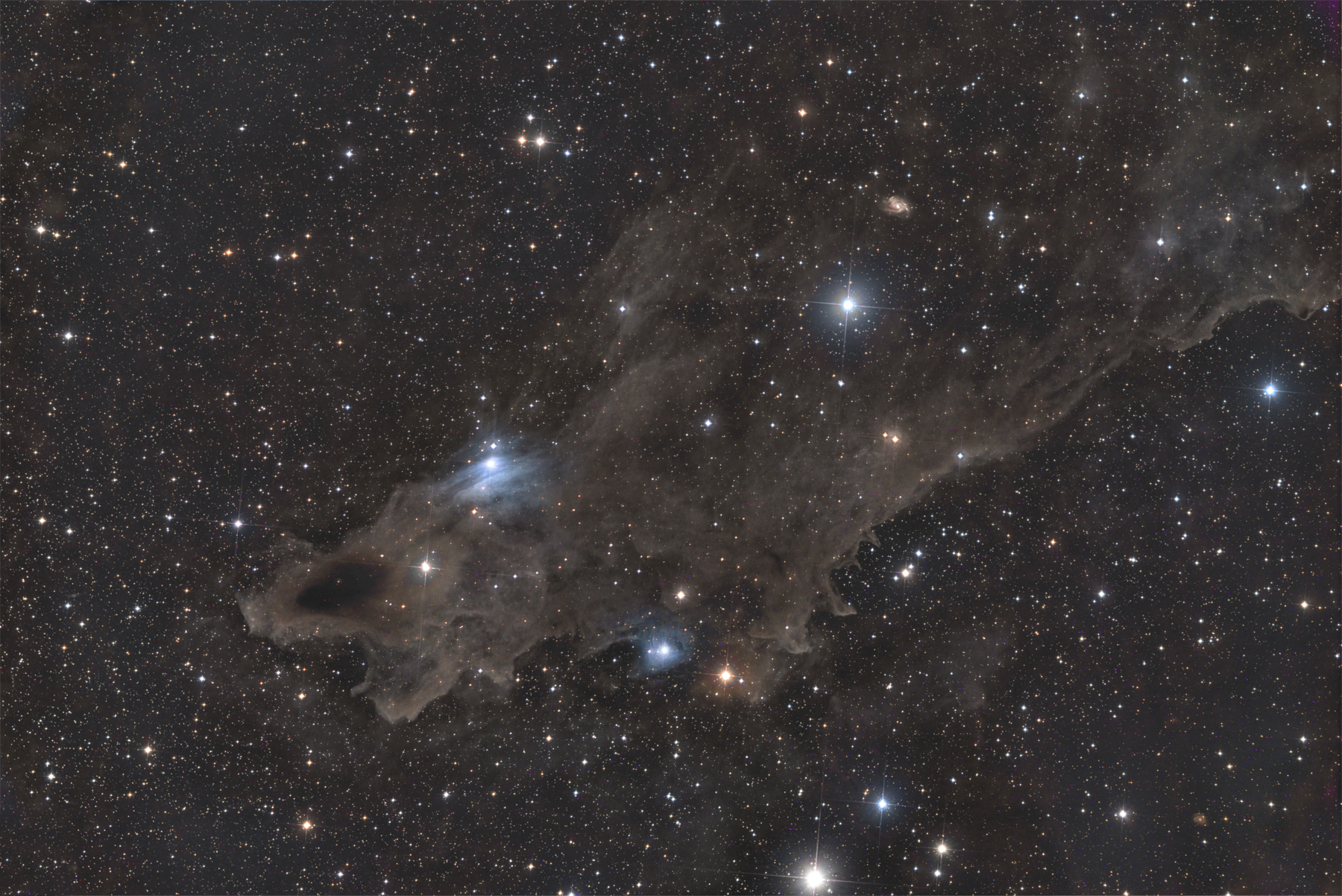 LDN-1235 in Cepheus