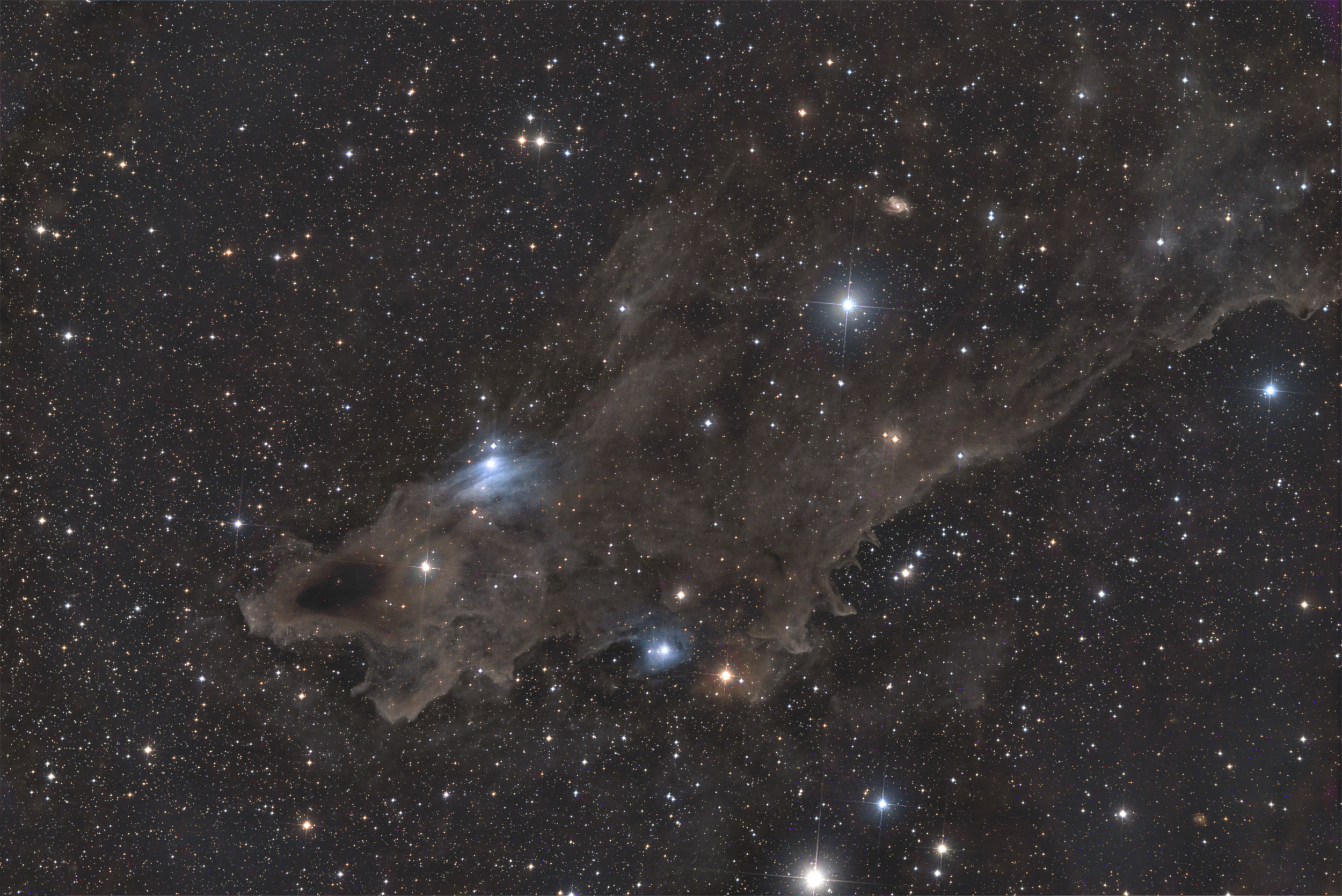 LDN-1235 in Cepheus