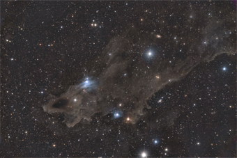 LDN 1235 in Cepheus