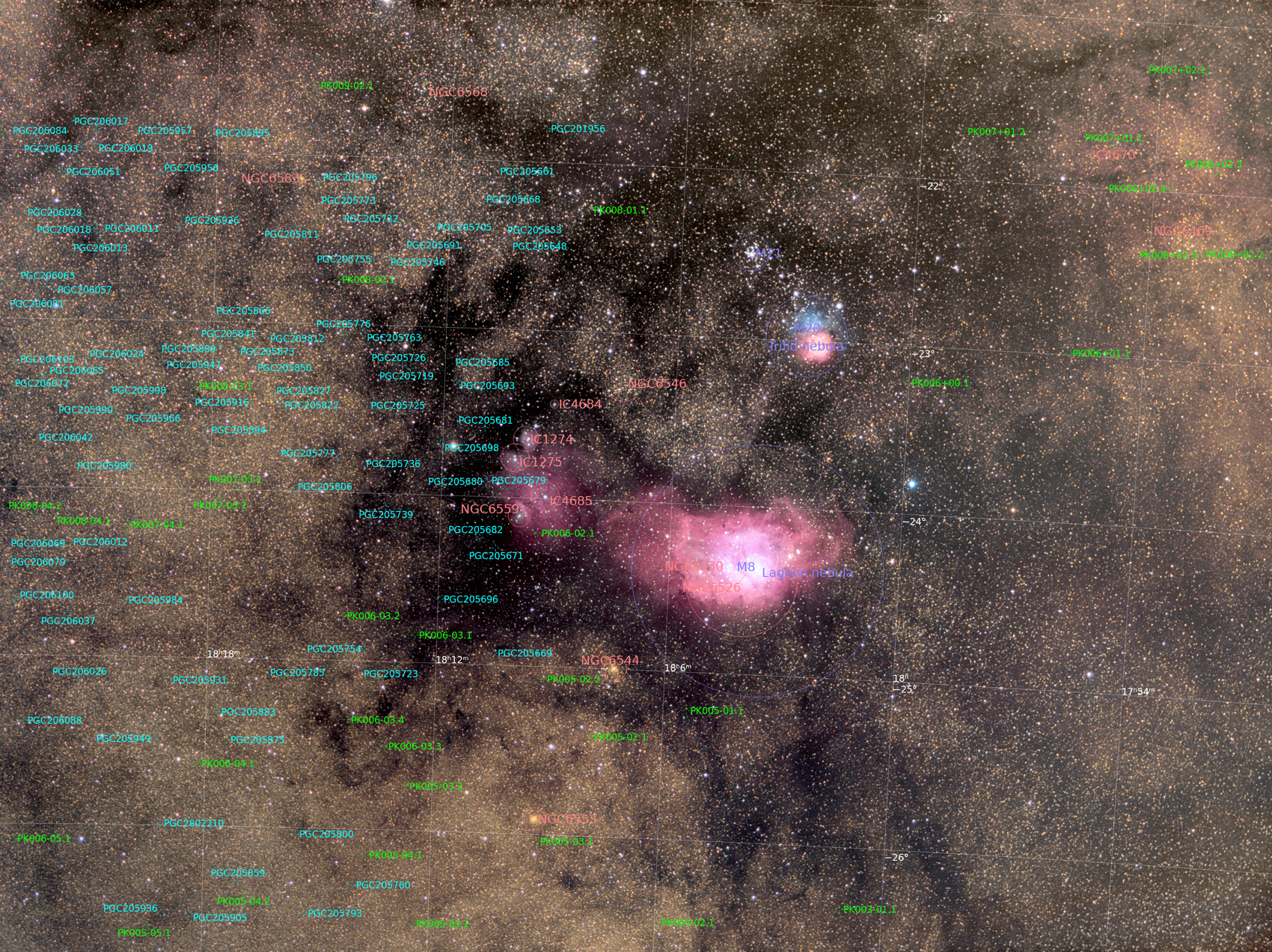 M8 M20 Widefield