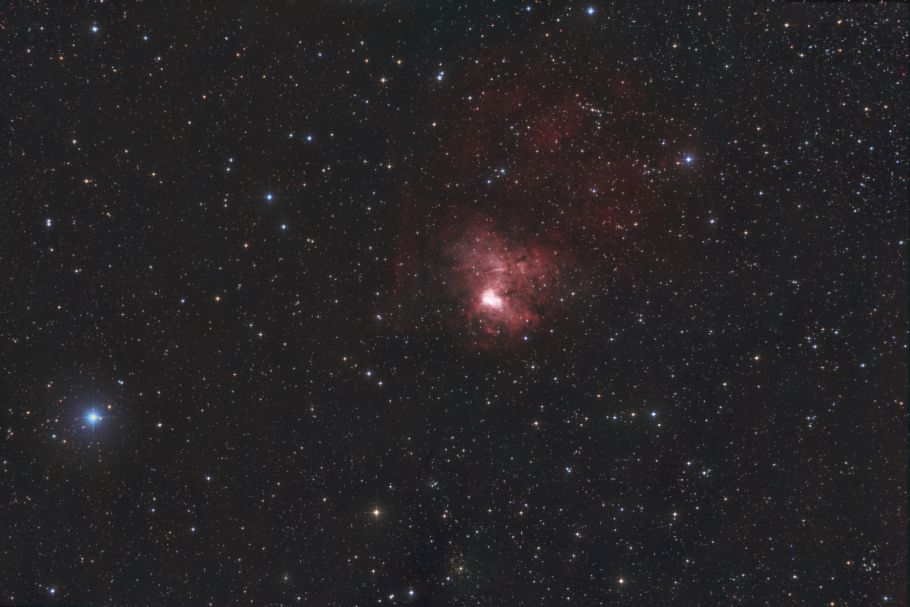 NGC1491