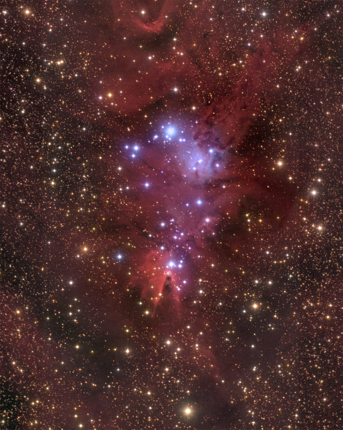 Cone Nebula