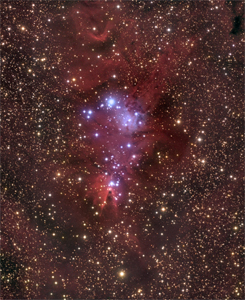 Cone Nebula