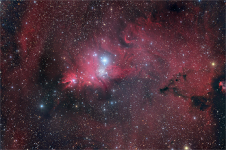 NGC2264