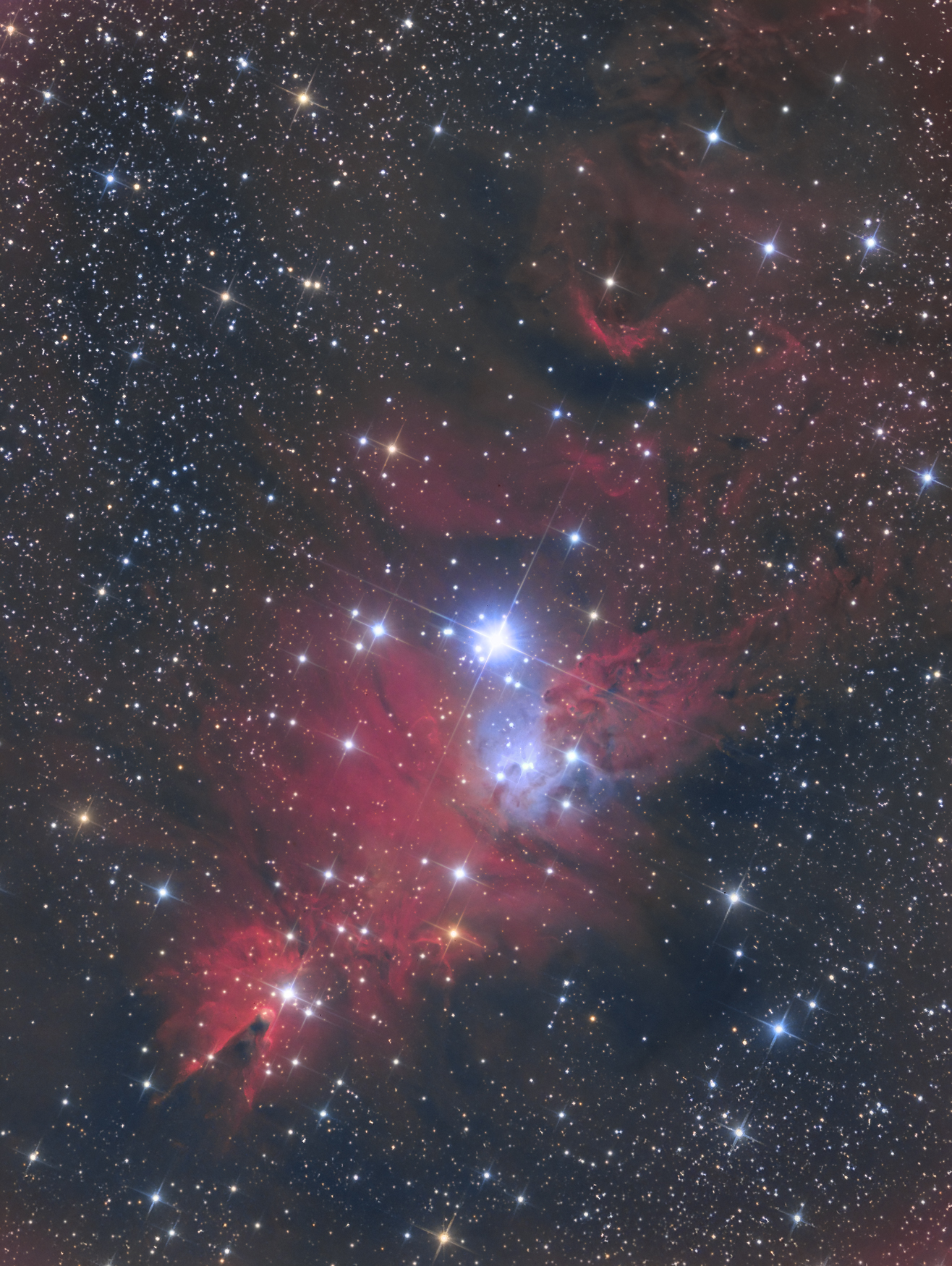 NGC2264