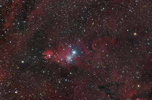 NGC2264 und der Asteroid Zachia