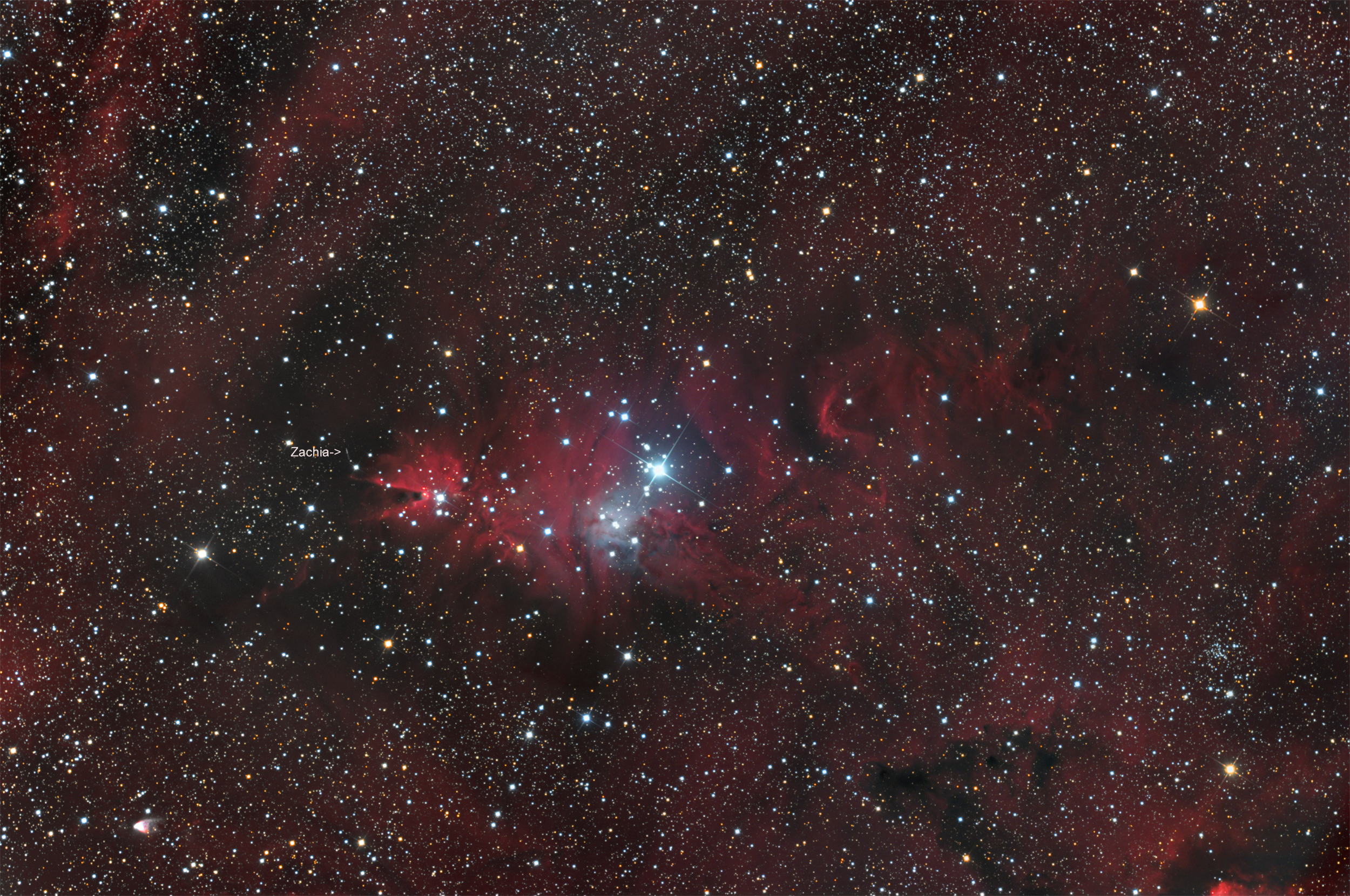 NGC2264 und Asteroid Zachia