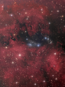 NGC6914