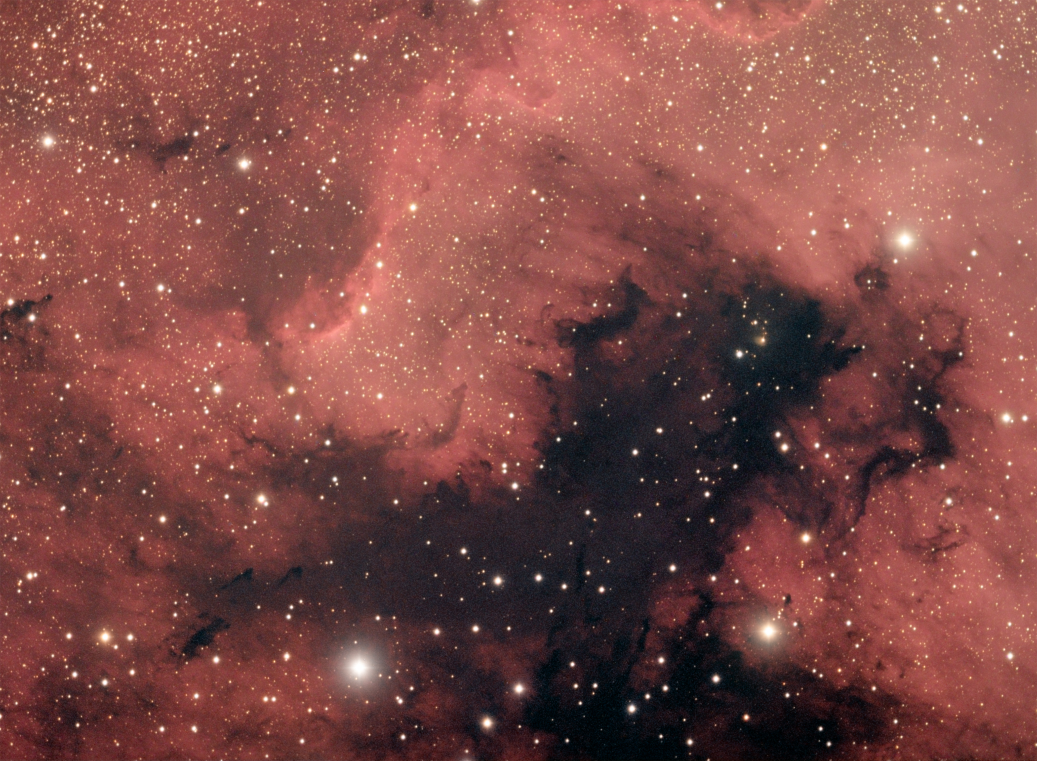 NGC7000