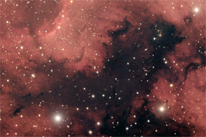NGC7000