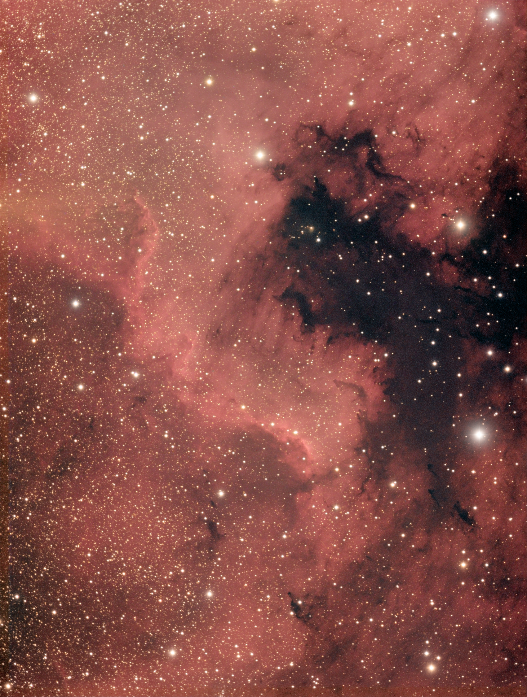 NGC7000