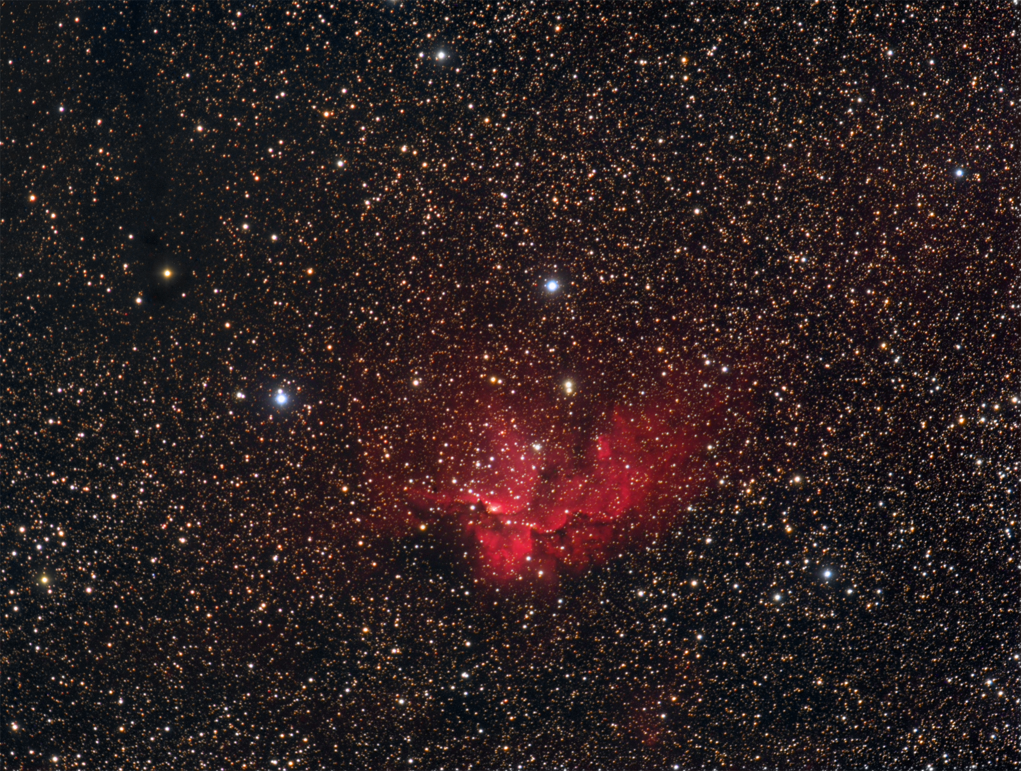 IC5146
