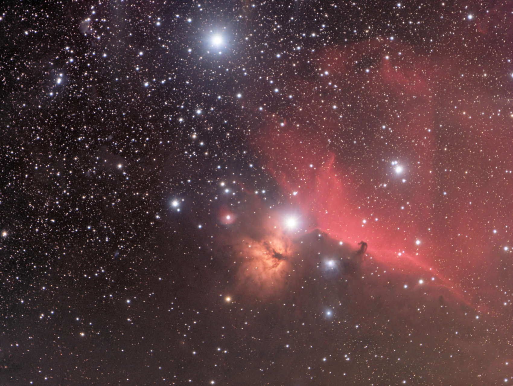 Horsehead Widefield