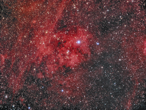 Sh2-115 in Cygnus