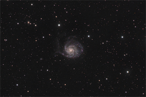 M101