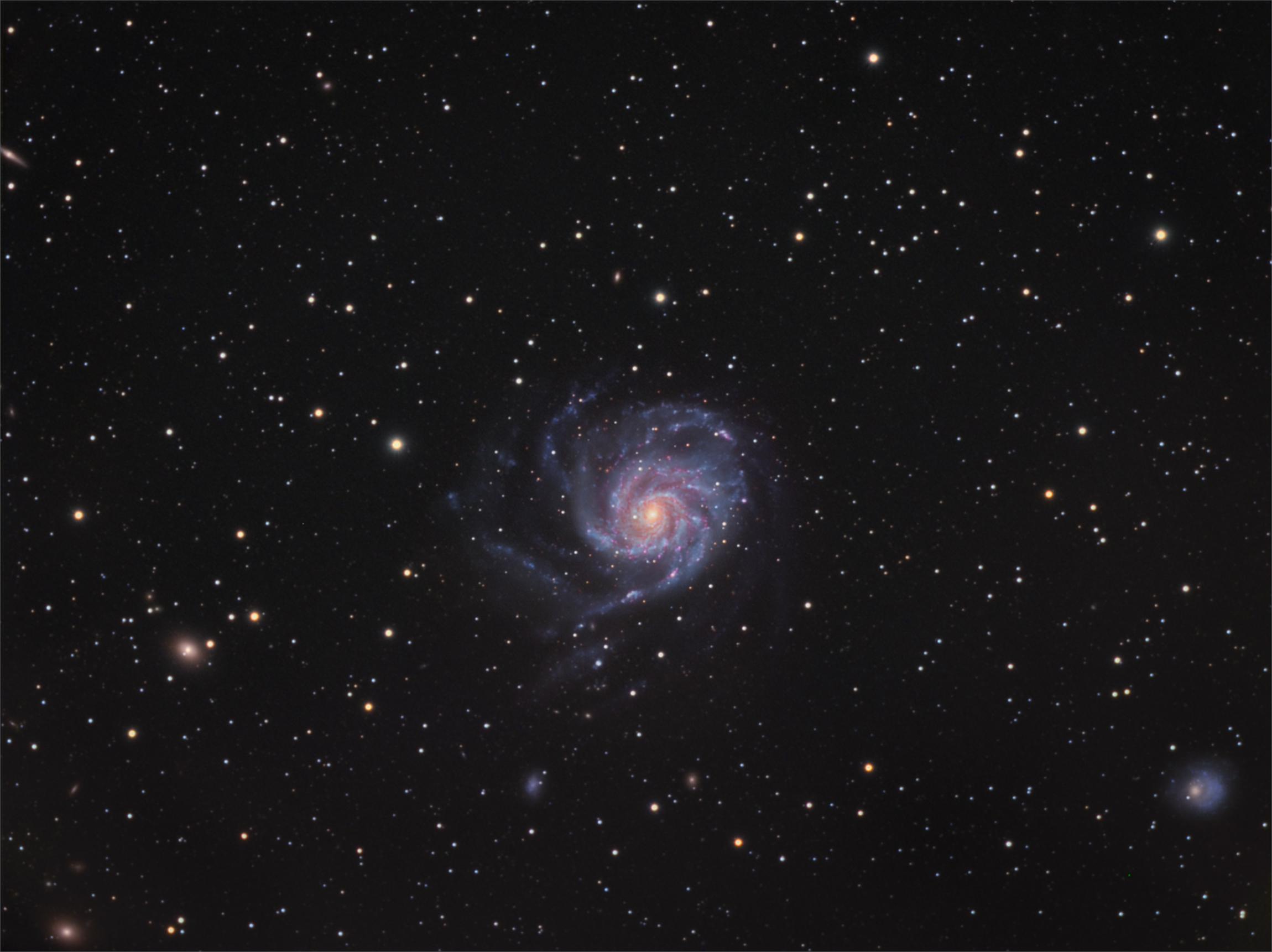 M101 Widefield