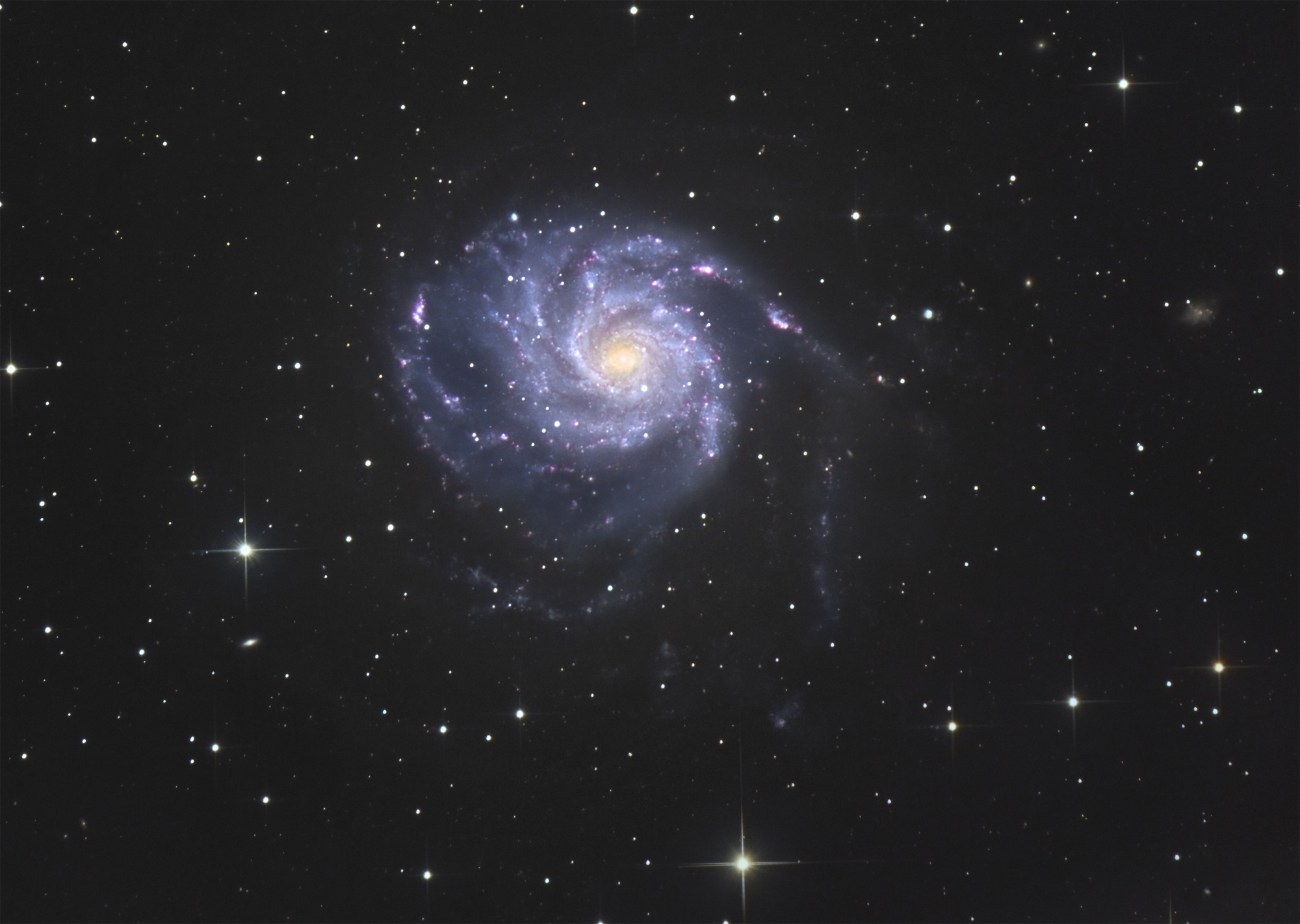 M101