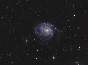 M101