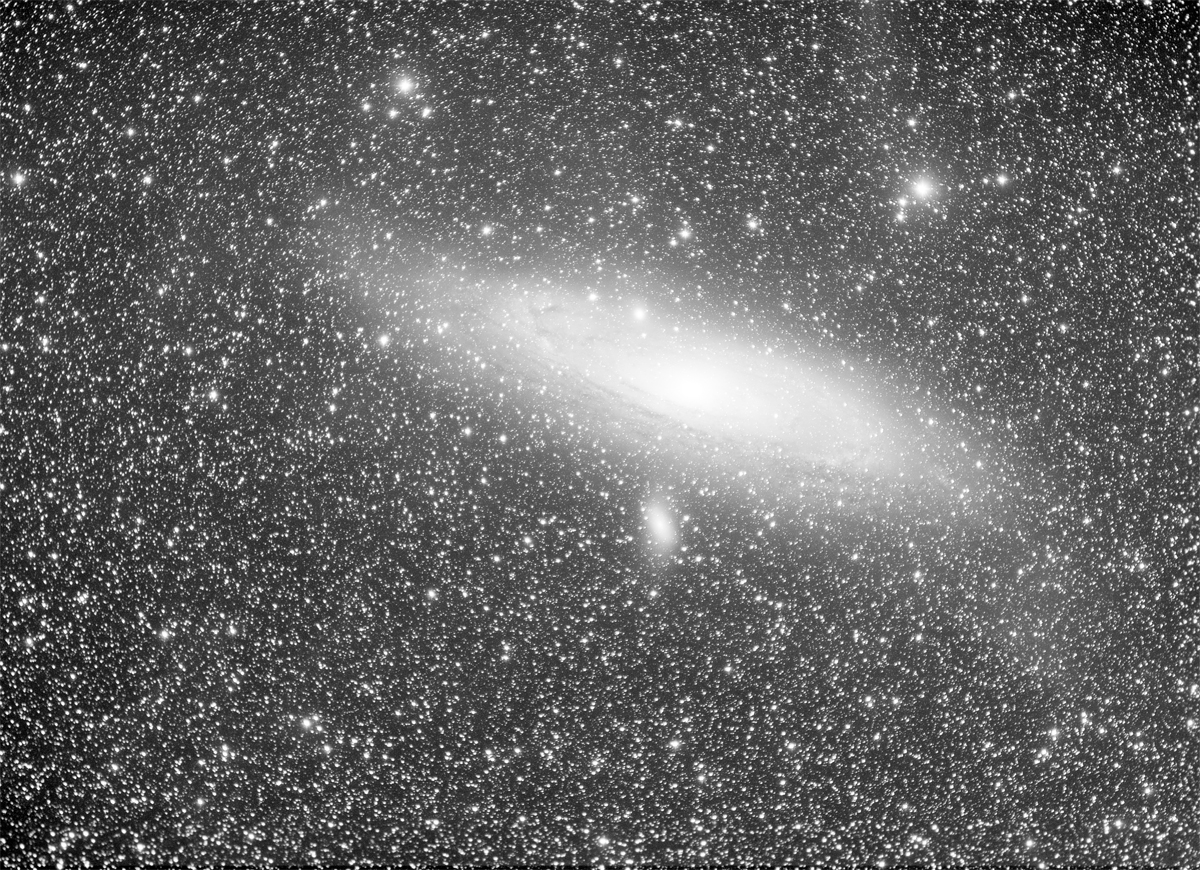 M31