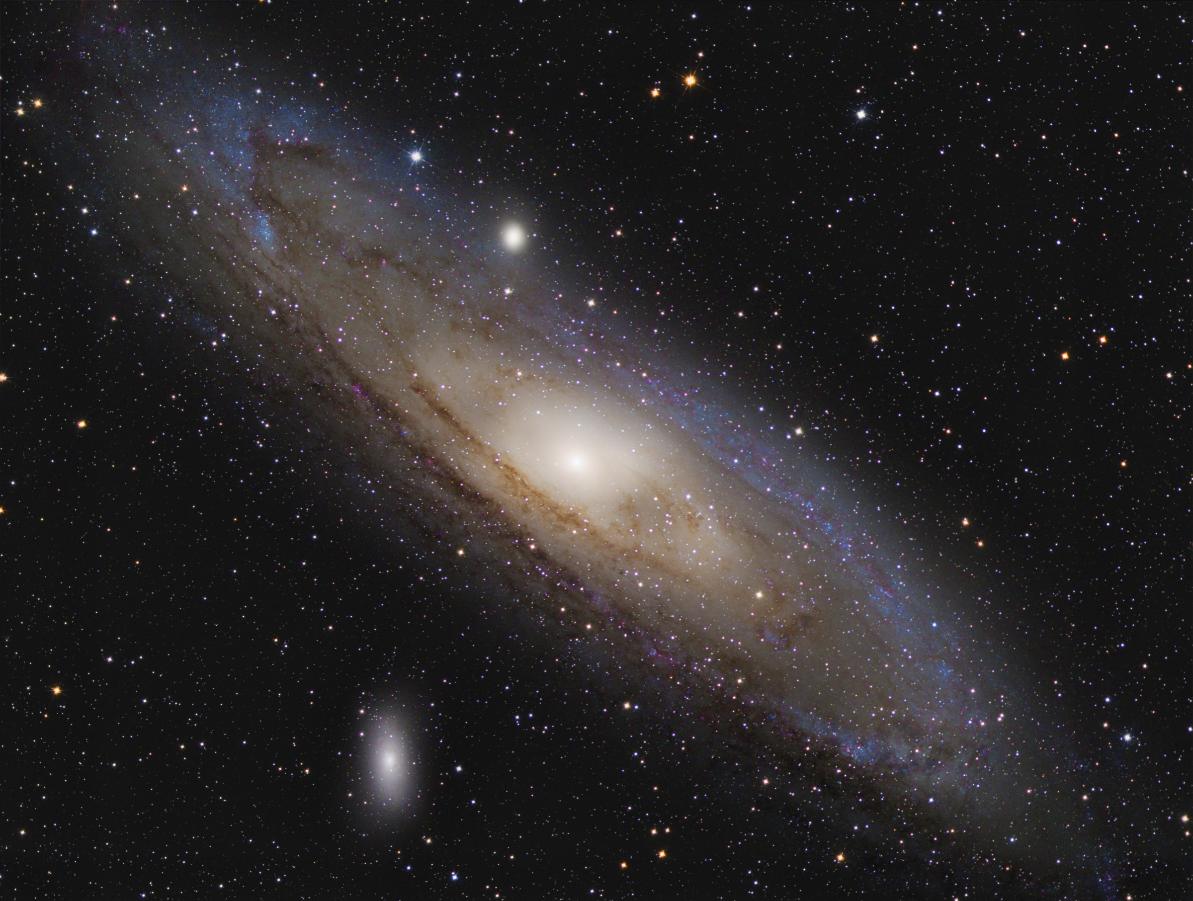 M31